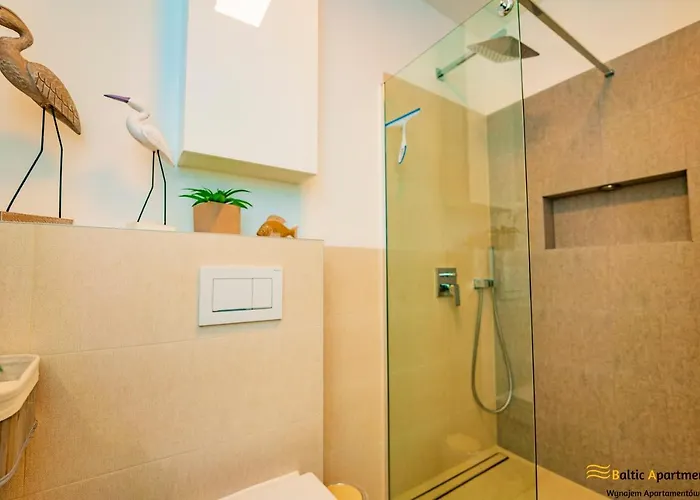 Baltic - Stawa Mlyny *